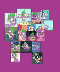 Size: 651x779 | Tagged: safe, artist:spike fancy, humdrum, rarity, spike, spike the regular dog, dog, dragon, equestria girls, equestria girls (movie), father knows beast, friendship is magic, horse play, legend of everfree, molt down, movie magic, my little pony: the movie, season 1, season 2, season 6, season 8, secret of my excess, spoiler:eqg specials, adult, adult spike, air bubble, angry, baby, baby dragon, bathroom, bloodstone scepter, bubble, camp everfree logo, cap, chair, claws, clothes, collage, collar, costume, cute, director, director spike, dragon lands, dragon lord spike, fangs, feather, flying, green eyes, hat, holding, laughing, male, mirror, mlp fim's eighth anniversary, molting, older, older spike, paws, power ponies, puffer fish, scroll, shoes, simple background, smiling, species swap, spikabetes, spike the dog, spike the pufferfish, spikezilla, spread wings, staff, superhero, tail, teeth, toothpaste, towel, twilight's castle, wall of tags, winged spike, wings, yelling