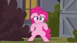 Size: 1100x618 | Tagged: safe, screencap, pinkie pie, earth pony, pony, a friend in deed, cute, diapinkes, female, floppy ears, mare, solo, squatting