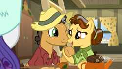 Size: 1920x1080 | Tagged: safe, screencap, oak nut, rarity, earth pony, pony, unicorn, best gift ever, acorn, butternut, butteroak, cheek squish, clothes, couple, cup, curtains, discovery family logo, dress, eye contact, farm, farmhouse, female, food, hat, holding hooves, husband and wife, kitchen, ladder, looking at each other, male, mare, shipping, shirt, sitting, squishy cheeks, stallion, straight, sweet acorn orchard, tea, teacup, teapot