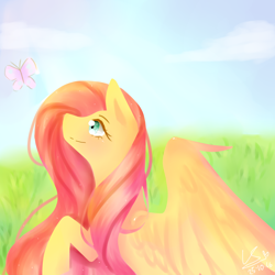 Size: 3000x3000 | Tagged: safe, artist:lovesshy32114, fluttershy, butterfly, pegasus, pony, bright, bust, grass field, looking at something, looking up, profile, raised hoof, solo, spread wings