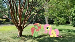 Size: 1087x611 | Tagged: safe, artist:davidsfire, artist:lilcinnamon, artist:thedoubledeuced, fluttershy, tree hugger, irl, photo, ponies in real life, shadow, tree, vector