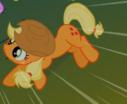 Size: 331x271 | Tagged: safe, screencap, applejack, earth pony, pony, a dog and pony show, cropped, solo