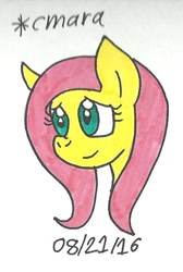 Size: 446x662 | Tagged: safe, artist:cmara, fluttershy, pegasus, pony, female, mare, solo, traditional art