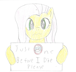 Size: 1695x1590 | Tagged: safe, artist:2shyshy, fluttershy, pegasus, pony, awesome in hindsight, bust, chicago cubs, hilarious in hindsight, looking at you, portrait, sign, simple background, solo, traditional art, wavy mouth, white background, wrong eye color