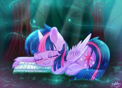 Size: 600x432 | Tagged: safe, artist:gnidagovnida, derpibooru import, twilight sparkle, twilight sparkle (alicorn), alicorn, pony, book, female, mare, prone, smiling, solo