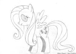 Size: 7016x4980 | Tagged: safe, artist:moon flower, fluttershy, pegasus, pony, 2016, absurd resolution, black and white, drawing, fanart, female, grayscale, lineart, mare, monochrome, pencil, simple background, smudges, solo, stock vector, traditional art, white background