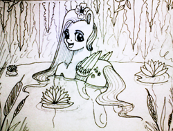 Size: 1140x862 | Tagged: safe, artist:sentabry, fluttershy, pegasus, pony, floating, flower, flower in hair, folded wings, grayscale, lilypad, lineart, looking at you, looking back, monochrome, open mouth, pond, reed, solo, swimming, traditional art, water