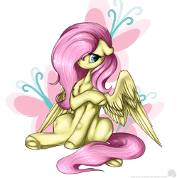 Size: 1639x1648 | Tagged: safe, artist:11-shadow, fluttershy, pegasus, pony, chest fluff, covering, cute, cutie mark background, hair over one eye, looking away, shy, shyabetes, simple background, sitting, solo, spread legs, spread wings, spreading, transparent background, underhoof