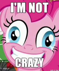 Size: 412x492 | Tagged: safe, edit, edited screencap, screencap, pinkie pie, earth pony, pony, ppov, image macro, meme, solo