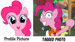 Size: 1081x600 | Tagged: safe, pinkie pie, earth pony, pony, pinkie apple pie, ppov, cute, derp, facebook, faic, image macro, meme, pinkie derp, ponk, profile picture