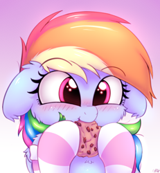 Size: 2500x2700 | Tagged: safe, artist:heavymetalbronyyeah, derpibooru import, rainbow dash, pegasus, pony, blushing, bust, cheek fluff, chest fluff, clothes, cookie, cute, dashabetes, ear fluff, eating, female, floppy ears, food, gradient background, high res, leg fluff, mare, shoulder fluff, socks, solo, striped socks, weapons-grade cute