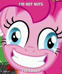 Size: 412x492 | Tagged: safe, edit, edited screencap, screencap, pinkie pie, earth pony, pony, ppov, image macro, meme, solo