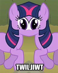 Size: 714x900 | Tagged: safe, derpibooru import, twilight sparkle, fusion, solo, unitinu, wat, we have become one, what has science done