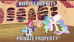 Size: 400x225 | Tagged: safe, derpibooru import, edit, edited screencap, screencap, applejack, fluttershy, pinkie pie, princess celestia, rainbow dash, rarity, twilight sparkle, unicorn twilight, alicorn, earth pony, pegasus, pony, unicorn, lesson zero, animated, caption, golden oaks library, happy, horses doing horse things, image macro, jumping, majestic as fuck, mane six, meme, text