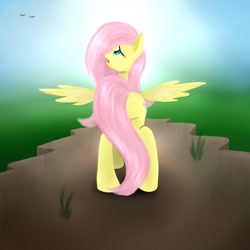 Size: 1800x1800 | Tagged: safe, artist:twistedmindbrony, fluttershy, pegasus, pony, female, mare, plot, solo