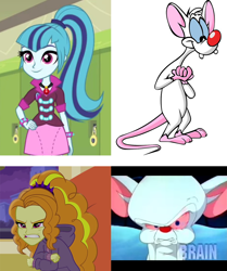 Size: 934x1117 | Tagged: safe, screencap, adagio dazzle, sonata dusk, equestria girls, rainbow rocks, angry, brain, comparison, pinky, pinky and the brain, similarities, the brain