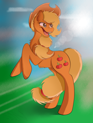 Size: 3320x4368 | Tagged: safe, artist:galaxycartoons, applejack, earth pony, pony, chest fluff, rearing, solo