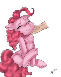 Size: 3400x4300 | Tagged: safe, artist:mrscurlystyles, pinkie pie, earth pony, human, pony, :3, behaving like a cat, behaving like a dog, chest fluff, chin scratch, cute, diapinkes, eyes closed, female, hand, mare, petting, simple background, solo, underhoof, white background