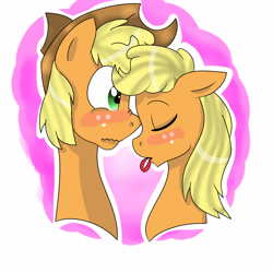 Size: 5000x5000 | Tagged: safe, artist:artistcoolpony, applejack, earth pony, pony, absurd resolution, applejacks (shipping), female, male, rule 63, self ponidox, selfcest, shipping, straight