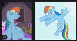 Size: 429x230 | Tagged: safe, derpibooru import, rainbow dash, pegasus, pony, blue coat, double rainbow, female, google images, mare, multicolored mane