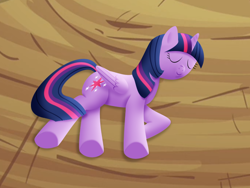 Size: 800x600 | Tagged: safe, artist:silberhase, derpibooru import, twilight sparkle, twilight sparkle (alicorn), alicorn, pony, female, mare, sleeping, solo, underhoof