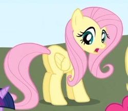Size: 330x285 | Tagged: safe, screencap, fluttershy, pegasus, pony, feeling pinkie keen, cropped, female, mare, plot