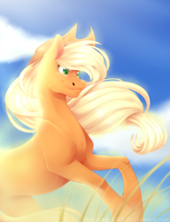 Size: 1280x1663 | Tagged: safe, artist:samandriilrf, applejack, earth pony, pony, applejack's hat, blonde, blonde mane, blonde tail, female, green eyes, mare, orange coat, solo