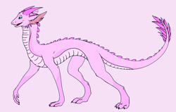 Size: 3000x1913 | Tagged: safe, artist:lyraalluse, pinkie pie, dragon, dragonified, pink background, pinkiedragon, simple background, solo, species swap