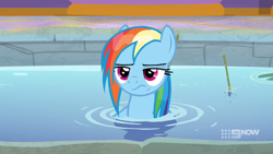 Size: 1920x1080 | Tagged: safe, derpibooru import, screencap, rainbow dash, pegasus, pony, spoiler:deep tissue memories, spoiler:mlp friendship is forever, deep tissue memories, rainbow dash is not amused, unamused, wet mane