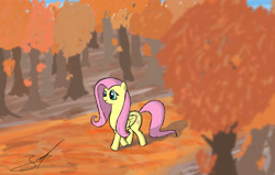 Size: 4683x2987 | Tagged: safe, artist:derpyjoel, fluttershy, pegasus, pony, autumn, scenery, solo