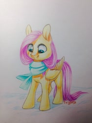 Size: 960x1280 | Tagged: safe, artist:theorderofalisikus, fluttershy, pegasus, pony, clothes, scarf, solo, traditional art