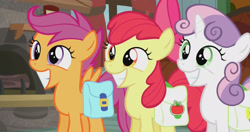 Size: 1920x1010 | Tagged: safe, screencap, apple bloom, scootaloo, sweetie belle, appleoosa's most wanted, cute, cutie mark crusaders, grin, pure unfiltered evil, saddle bag, smiling