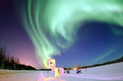 Size: 882x587 | Tagged: safe, artist:riofluttershy, fluttershy, aurora borealis, irl, photo, ponies in real life, snow, solo, winter