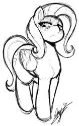 Size: 633x1005 | Tagged: safe, artist:starykrow, fluttershy, pegasus, pony, fangs, frown, grayscale, monochrome, signature, simple background, solo