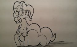 Size: 4864x2988 | Tagged: safe, artist:mang, pinkie pie, earth pony, pony, belly button, black and white, grayscale, inktober, inktober 2016, monochrome, solo, traditional art