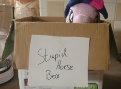 Size: 2845x2082 | Tagged: safe, artist:scootasway, twilight sparkle, pony, 4de, blatant lies, box, irl, photo, plushie, pony in a box, pony shaming, pure unfiltered evil, shaming, worst pony