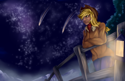 Size: 5100x3300 | Tagged: safe, artist:grennadder, applejack, human, absurd resolution, fence, humanized, lantern, night, shooting star, solo, stars