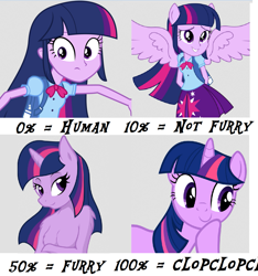 Size: 1239x1324 | Tagged: safe, derpibooru import, twilight sparkle, twilight sparkle (alicorn), alicorn, anthro, equestria girls, 4chan, anthro chart, ponied up