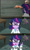 Size: 508x850 | Tagged: safe, derpibooru import, edit, screencap, sci-twi, spike, spike the regular dog, twilight sparkle, dog, equestria girls, rainbow rocks, math, scott steiner, screencap comic, tna