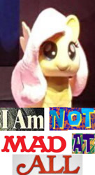 Size: 500x916 | Tagged: safe, fluttershy, pegasus, pony, blatant lies, expand dong, exploitable meme, meme, sarcasm, solo, the mlp musical: rainbow rocks