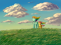 Size: 1720x1280 | Tagged: safe, artist:gloomydinosaur, derpibooru import, rainbow dash, scootaloo, pegasus, pony, cloud, duo, female, filly, folded wings, grass, grass field, looking away, mare, outdoors, sky, standing, windswept mane, wings