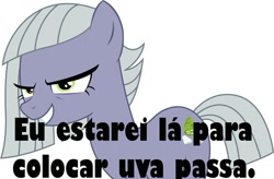 Size: 960x631 | Tagged: safe, limestone pie, earth pony, pony, female, mare, my little pony, portuguese, pure unfiltered evil