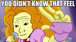 Size: 960x535 | Tagged: safe, edit, edited screencap, screencap, adagio dazzle, equestria girls, rainbow rocks, dem feels, feels, image macro, impact font, meme, microphone, solo, that feel, these are not the droids you're looking for, under our spell, wojak