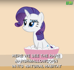 Size: 725x685 | Tagged: safe, artist:forgalorga, rarity, animal planet, caption, david attenborough, documentary, exploitable meme, food, image macro, marshmallow, meme, nature documentary, nature is so fascinating, rarity is a marshmallow, rarity is not amused, solo, text, unamused, your little pets