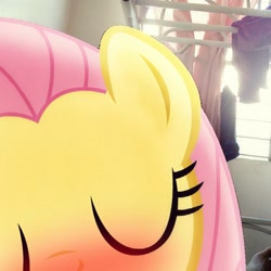 Size: 900x900 | Tagged: safe, artist:shadyhorseman, edit, fluttershy, human, bed, blushing, cute, human on pony snuggling, interspecies, irl, kissing, lying on top of someone, offscreen character, photo, ponies in real life, pov, shyabetes, smooch, snuggling