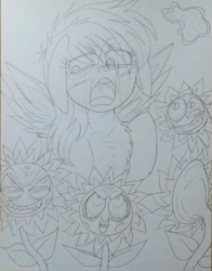 Size: 720x917 | Tagged: artist needed, safe, derpibooru import, rainbow dash, pegasus, pony, do princesses dream of magic sheep, faic, female, flower, mare, monochrome, nightmare sunflower, photo, sunflower, traditional art