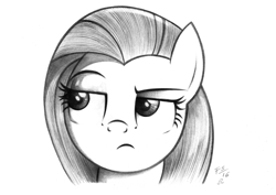 Size: 1527x1080 | Tagged: safe, artist:fladdrarblyg, fluttershy, pegasus, pony, bust, fluttershy is not amused, grayscale, looking away, monochrome, pencil drawing, portrait, raised eyebrow, simple background, skeptical, solo, traditional art, white background