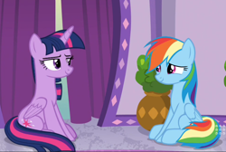 Size: 1030x692 | Tagged: safe, derpibooru import, screencap, rainbow dash, twilight sparkle, twilight sparkle (alicorn), alicorn, pegasus, pony, spoiler:deep tissue memories, cropped, deep tissue memories, duo, looking at each other, sitting, smiling, stare