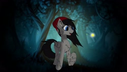 Size: 2560x1440 | Tagged: safe, artist:willow, derpibooru import, oc, oc only, oc:raine (emo), firefly (insect), pegasus, pony, black mane, black tail, coat markings, emo, female, fluffy, grey fur, happy, hat, mare, night, smiling, solo, wallpaper