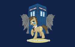 Size: 1440x900 | Tagged: safe, artist:hezaa, derpibooru import, edit, editor:fullmetal-landon, doctor whooves, pony, doctor who, ponified, solo, sonic screwdriver, statue, tardis, tenth doctor, wallpaper, wallpaper edit, weeping angel